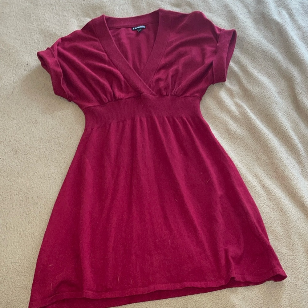 Express Tunic Sweater